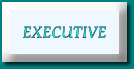 Executive Summary